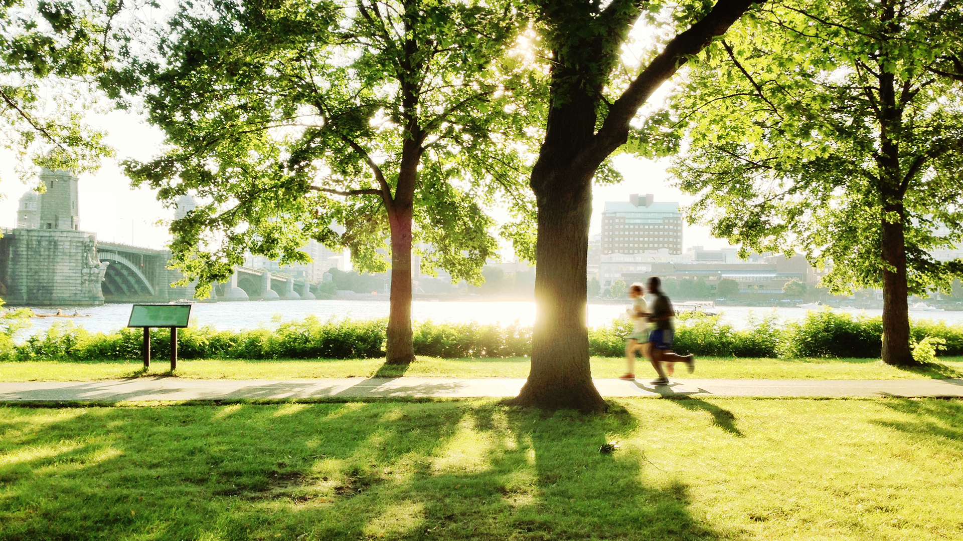 A park with running people. SWEP is part of a more sustainable future.